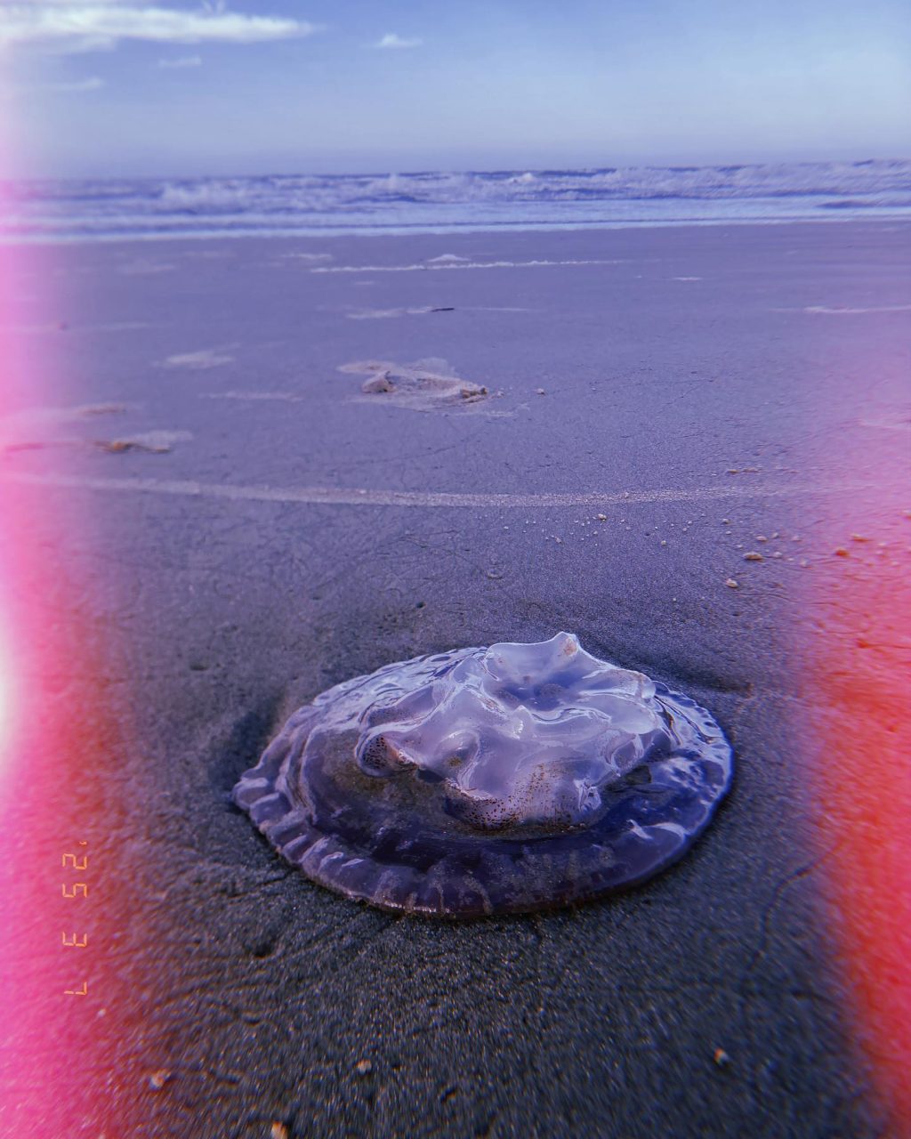 Instagram post from jphormiga. This post is in position 11.